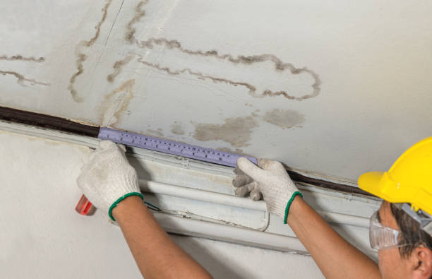 Reliable Emergency Water Damage Restoration contractor in Fountain, MI by Water Damage Irwin